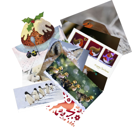 Selection of Animal Aid Christmas cards